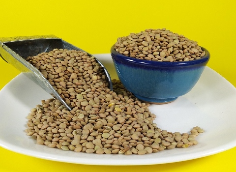 تصویر 1 از قیمت عدس سبز کانادایی + خرید باور نکردنی